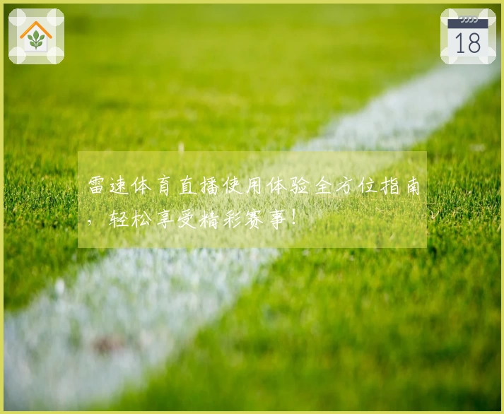 雷速体育直播使用体验全方位指南，轻松享受精彩赛事！